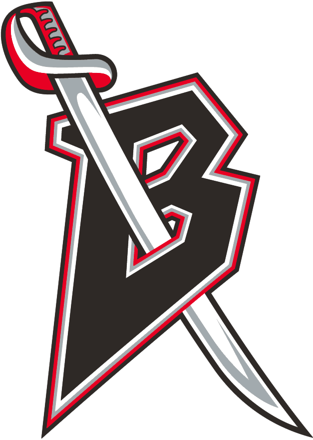 Buffalo Sabres 1996-1999 Alternate Logo fabric transfer version 2